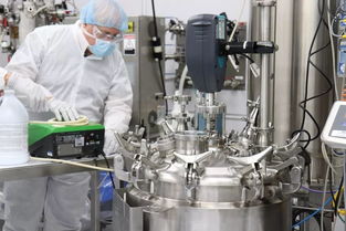 益生菌命名或將更新，噬菌體療法獲歐盟重磅資助引領技術突破